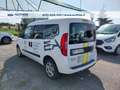 Fiat Doblo cargo 1.6 mjt 16v 105cv combi N1 E5+ F.L. Bianco - thumbnail 8