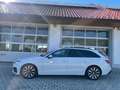 Audi A4 Avant 35 TDI S-tronic S-line *AHV*VIRTUAL*NAVI* Weiß - thumbnail 2