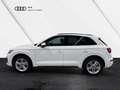 Audi Q5 TFSI e quattro S line Black Matrix-LED Assisten... Weiß - thumbnail 3
