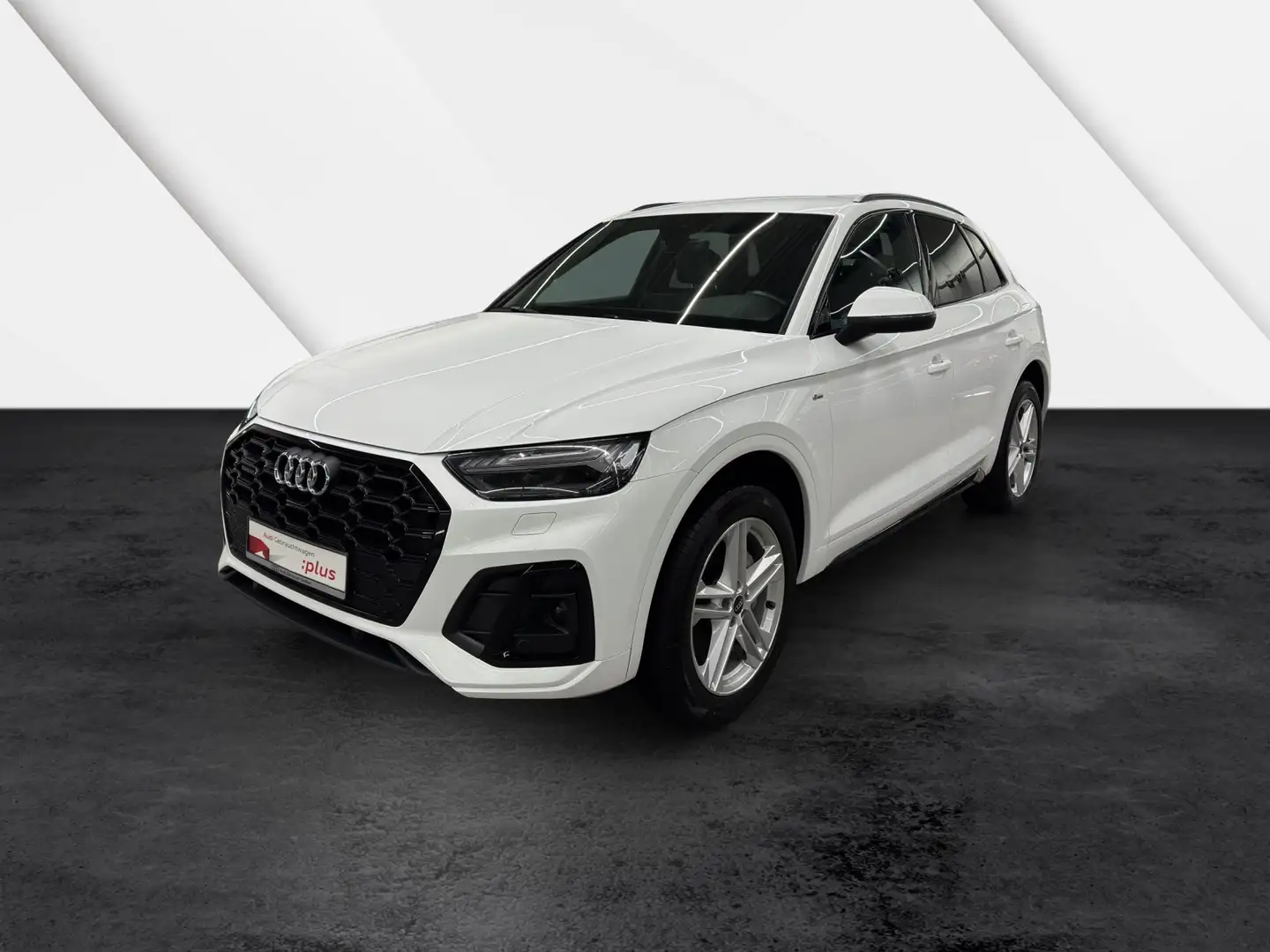 Audi Q5 TFSI e quattro S line Black Matrix-LED Assisten... Weiß - 2