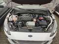 Ford Focus 2,0 Diesel 150PS  *Automatik * NAVI Weiß - thumbnail 21