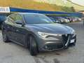 Alfa Romeo Stelvio 2.2 t Executive Q4 190cv 4x4 Grigio - thumbnail 6