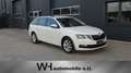 Skoda Octavia Kombi 1,6 TDI Limited / 1.Besitz / Weiß - thumbnail 1