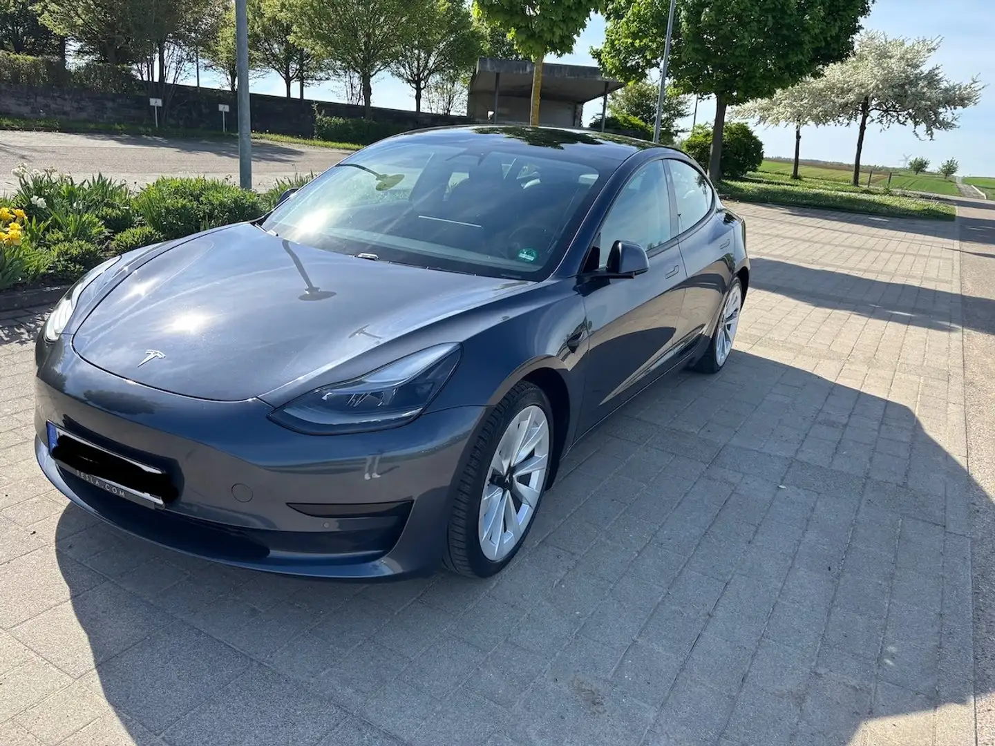 Tesla Model 3 Model 3 Standard Reichweite Plus Hinterradantrieb Grey - 1