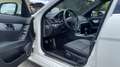 Mercedes-Benz C 200 C 200 Kompressor Avantgarde AMG Pano Harman Kardon Bianco - thumbnail 7