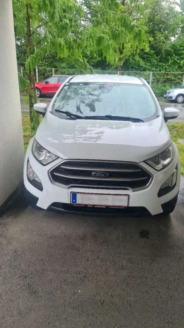 Ford EcoSport EcoSport 1,5 EcoBlue Cool Weiß - 2
