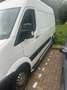 Hyundai H 350 H350 Cargo  EU6 S&S Eco - thumbnail 3