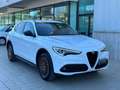 Alfa Romeo Stelvio 2.2 Turbodiesel 210 CV AT8 Q4 Executive Wit - thumbnail 4