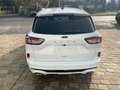 Ford Kuga 2.0 EcoBlue Aut. ST-LINE Blanc - thumbnail 2