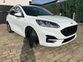 Ford Kuga 2.0 EcoBlue Aut. ST-LINE Blanc - thumbnail 7