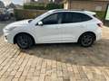 Ford Kuga 2.0 EcoBlue Aut. ST-LINE Blanc - thumbnail 3
