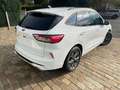 Ford Kuga 2.0 EcoBlue Aut. ST-LINE Wit - thumbnail 5