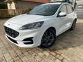 Ford Kuga 2.0 EcoBlue Aut. ST-LINE Blanc - thumbnail 1