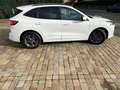 Ford Kuga 2.0 EcoBlue Aut. ST-LINE Blanc - thumbnail 6