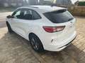 Ford Kuga 2.0 EcoBlue Aut. ST-LINE Blanc - thumbnail 4