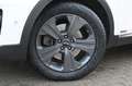Kia Sorento 2.2 AWD . Platinum Edition*ACC*AHK*Pano* Wit - thumbnail 11