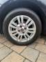 Fiat Punto 5p 1.4 easypower Lounge Gpl - thumbnail 9