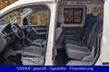 Volkswagen Caddy 1.9 TDI "Life Team" ROLLSTUHLRAMPE/2.Hand/Klima Weiß - thumbnail 18
