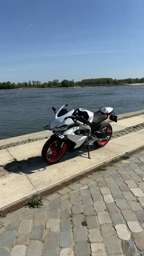 Aprilia RS 457 - 1
