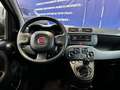 Fiat Panda 1.0 firefly hybrid s&s 70cv USATO GARANTITO Nero - thumbnail 8