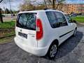Skoda Roomster Ambition Plus Edition Alb - thumbnail 6