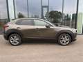 Mazda CX-30 D116 Comfort+/SO/ST / BOSE / VOLL LED Grau - thumbnail 6