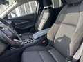 Mazda CX-30 D116 Comfort+/SO/ST / BOSE / VOLL LED Grau - thumbnail 7