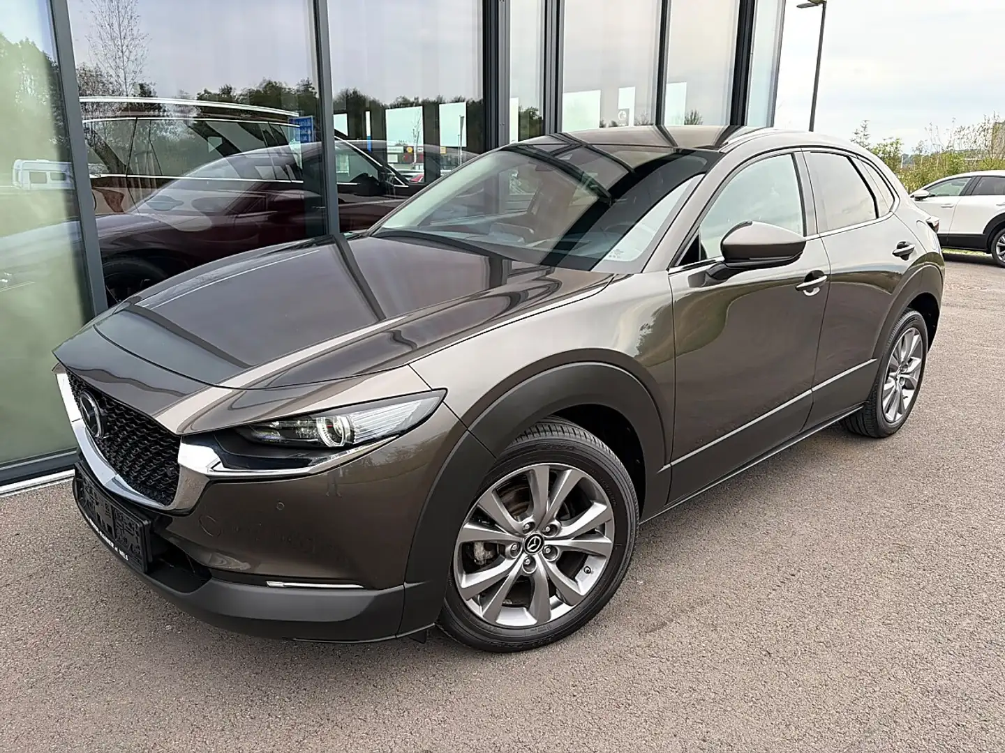 Mazda CX-30 D116 Comfort+/SO/ST / BOSE / VOLL LED Grau - 2