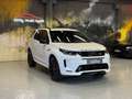 Land Rover Discovery Sport R-Dynamic SE AWD~PANO~HUD~LEDER Blanc - thumbnail 8