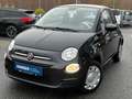 Fiat 500C 1.0 Hybrid Cabrio POP, Klima Schwarz - thumbnail 1