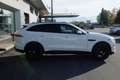 Jaguar F-Pace 2.0 D 180 CV AWD aut. IVA ESPOSTA Blanc - thumbnail 5