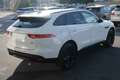 Jaguar F-Pace 2.0 D 180 CV AWD aut. IVA ESPOSTA Blanc - thumbnail 8