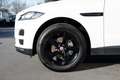 Jaguar F-Pace 2.0 D 180 CV AWD aut. IVA ESPOSTA Blanc - thumbnail 20