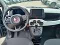 Fiat Pandina Pandina CROSS Grün - thumbnail 6