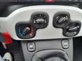 Fiat Pandina Pandina CROSS Grün - thumbnail 9