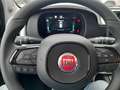 Fiat Pandina Pandina CROSS Grün - thumbnail 7