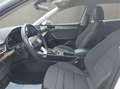 SEAT Leon Sportstourer XCELLENCE Automatik Weiß - thumbnail 9