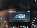 Ford Focus 1.0 Ecoboost MHEV 114kW Active Blanco - thumbnail 12
