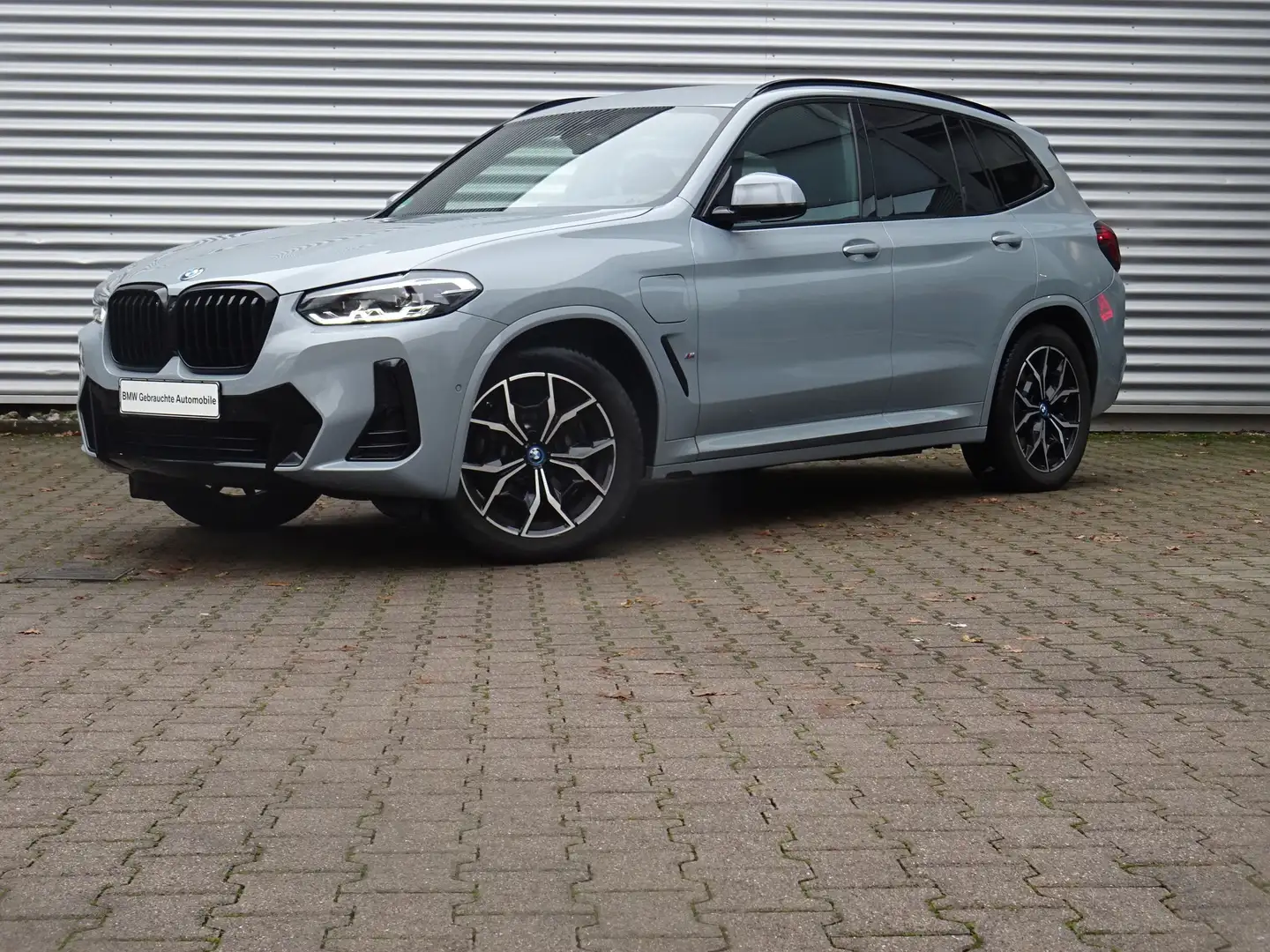 BMW X3 xDrive30e M Sport LivePro HiFi Drive/ParkAssi Grau - 1