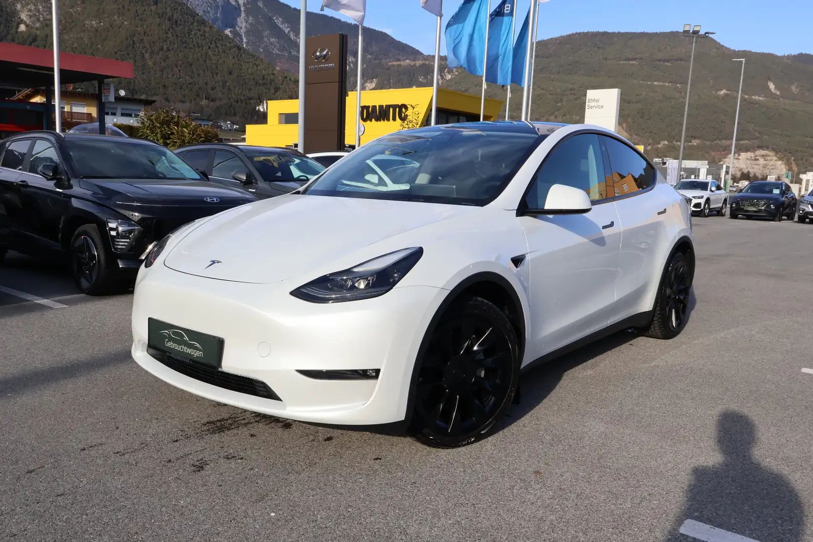 Tesla Model Y Long Range AWD 79kWh Weiß - 2