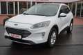 Ford Kuga 2.0 M-Hybrid Titanium X LED Navi Kamera ACC Weiß - thumbnail 1