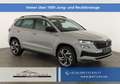 Skoda Karoq Sportline 4x4 2.0 TSI DSG Sportline, Pano, AHK,... Grau - thumbnail 1