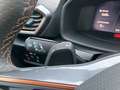 CUPRA Formentor 2.0 TDI DSG 4Drive NAVI+PANO+ACC+AHK Grau - thumbnail 22