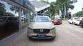 Mazda CX-5 SKYACTIV-G 194 FWD 5T 6AG AL-ADVANTAGE ohne BSM/RC Beige - thumbnail 2