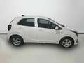 Kia Picanto 1.0 DPi Concept Blanc - thumbnail 5