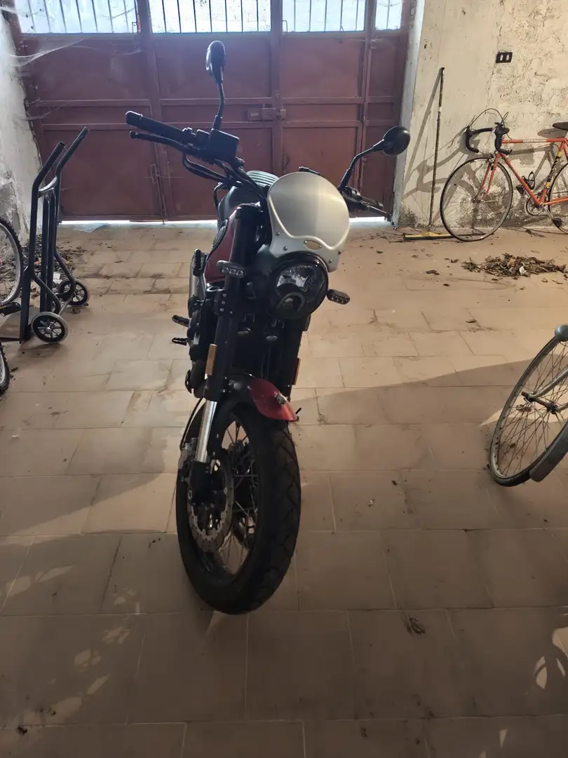 Benelli Leoncino trail - 2