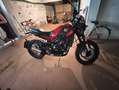 Benelli Leoncino trail - thumbnail 7