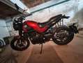 Benelli Leoncino trail - thumbnail 1