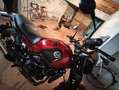 Benelli Leoncino trail - thumbnail 8