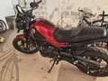 Benelli Leoncino trail - thumbnail 4